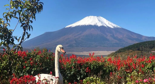 Mount Fuji Castle 2, Забронировать Отель Яманакако 