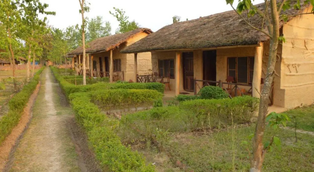 Номер Standard Bardia Eco Lodge