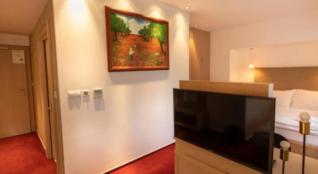 Трёхместный номер Standard Hotel Villa Nečas Žilina