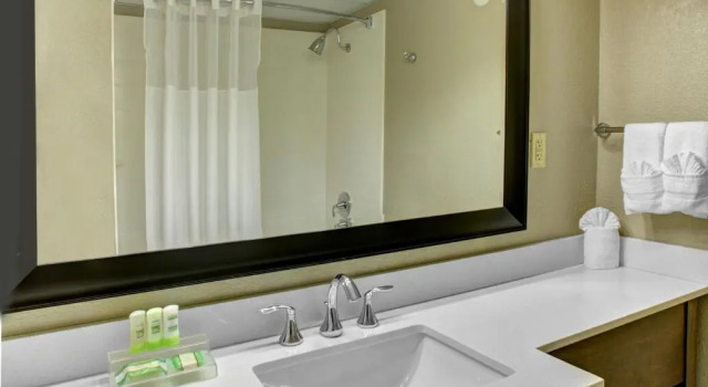 Четырёхместный номер Standard La Quinta Inn & Suites by Wyndham Downtown Asheville