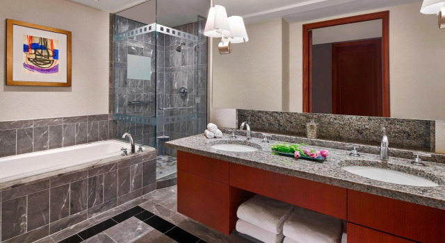 Двухместный номер Deluxe The Ritz-Carlton, Charlotte