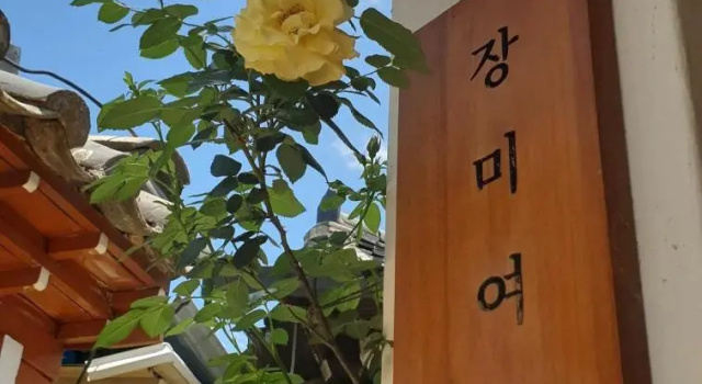 Rose Guesthouse D
