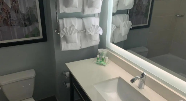 Четырёхместный номер Standard Holiday Inn Charlottesville-Univ Area by IHG