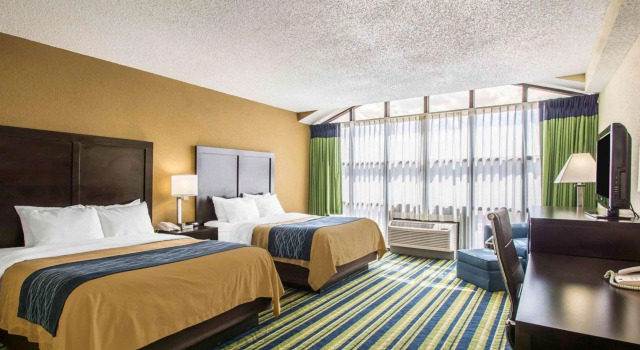 Четырёхместный люкс Comfort Inn & Suites Lantana - West Palm Beach South