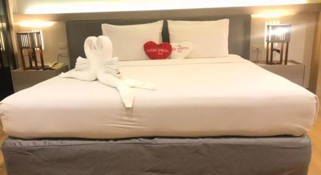 Двухместный номер Standard Sandy Spring Hotel