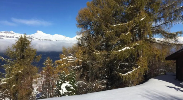 Шале Chalet Pierre Blanche