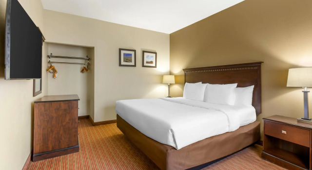 Двухместный люкс Comfort Inn Phoenix Central City