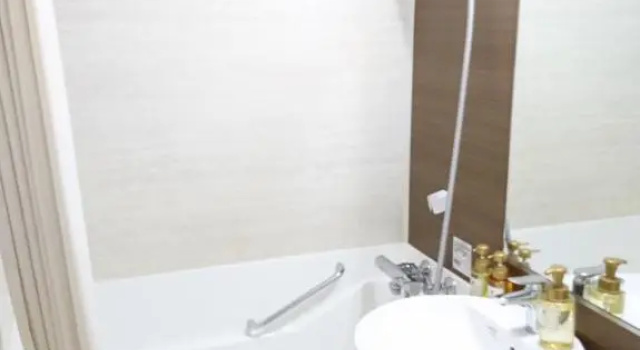 Двухместный номер Standard Niigata Station Hotel