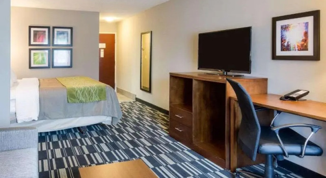 Одноместный номер Standard Quality Inn & Suites Ashland near Kings Dominion