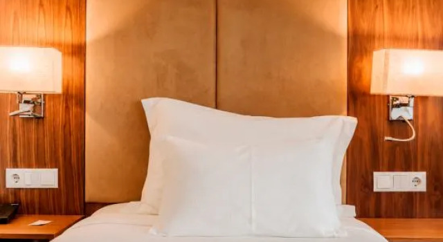 Одноместный номер Executive Hotel Porto Downtown