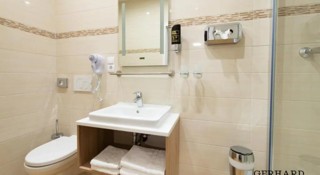 Двухместный номер Superior Hotel Gerhard