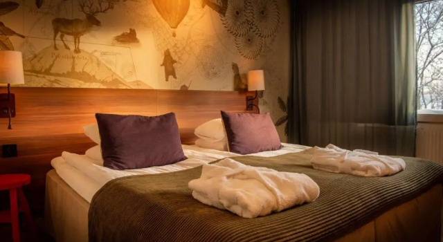 Двухместный номер Superior Scandic Luleå