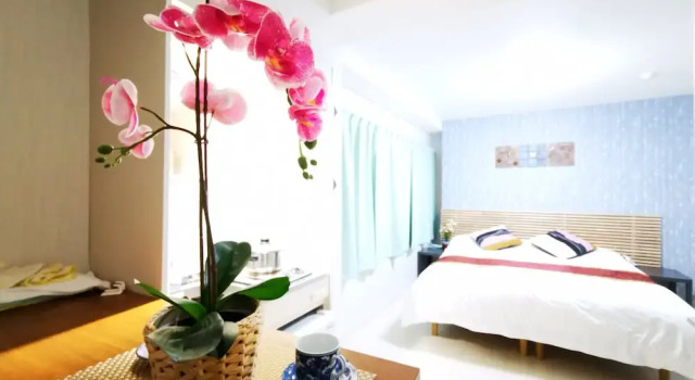 Номер Standard Apartment in Asakusa
