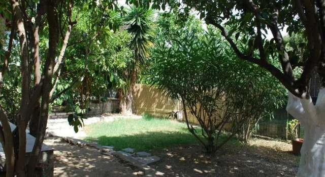 Studio Saini
