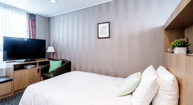 Одноместный номер Superior Hotel Atrium Jongno