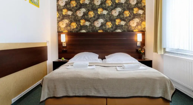 Двухместный номер Standard Hotel Polonia - Frankfurt/Oder