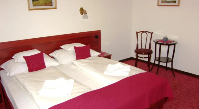 Номер Standard Adler Hotel