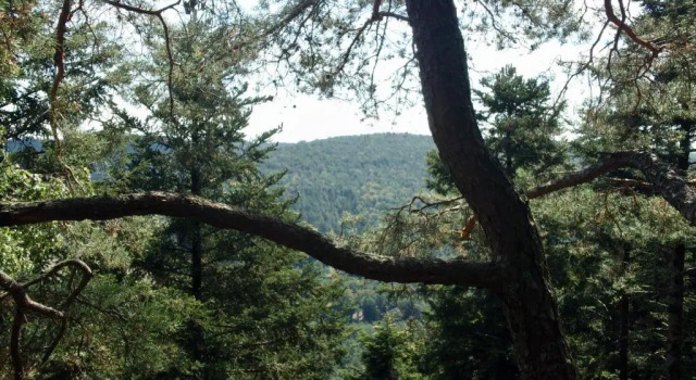 Апартаменты Home-sweet-home