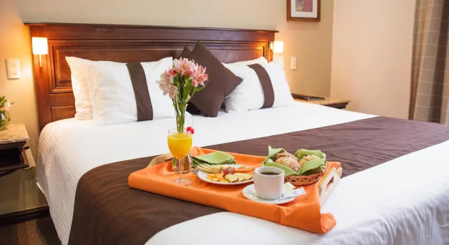 Двухместный Master Suite Mision Catedral Morelia