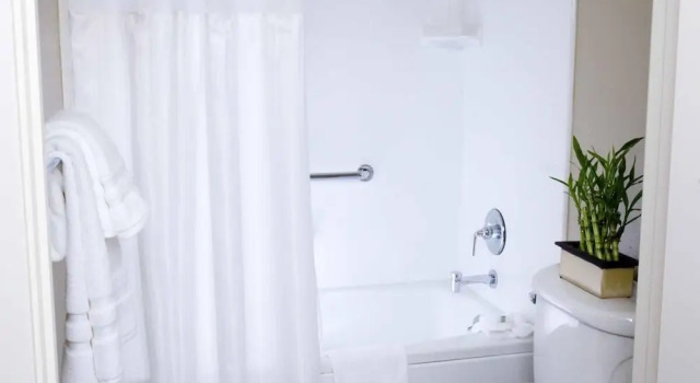 Четырёхместный люкс The Zen Hotel Palo Alto