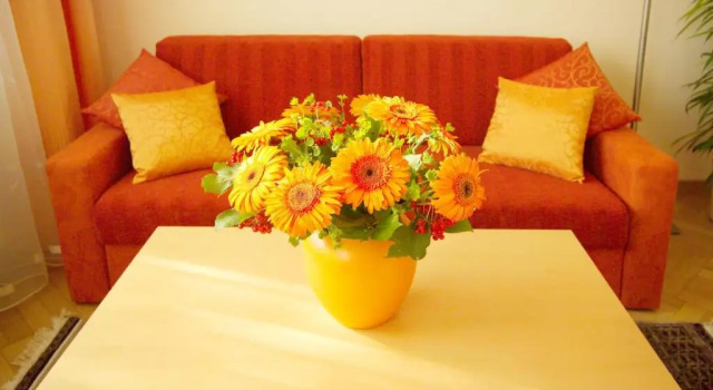 Апартаменты Strandhotel Alte Donau