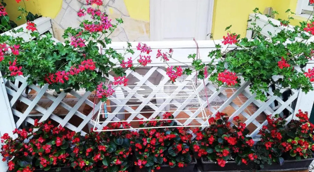 Номер Standard Castello Vendég és Apartmanház