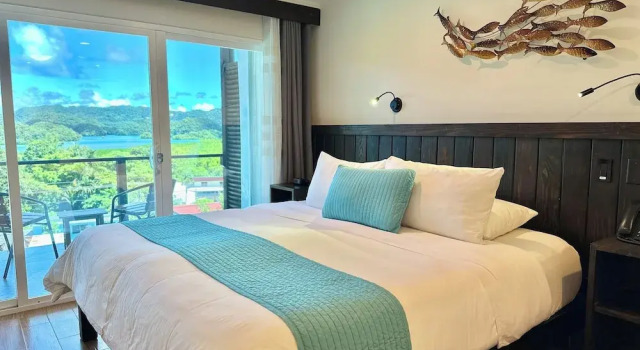 Deluxe værelse Palau Central Hotel