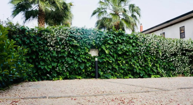 Kiwi, Prenota Hotel Hotel a Lazio con parcheggio, Parcheggio