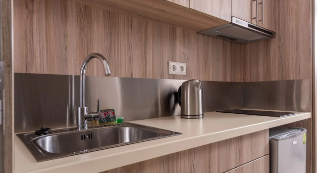 Студия Deluxe Dionysos Hotel & Suites