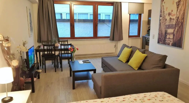 Студия Superior Apartment Chez Esmara et Philippe