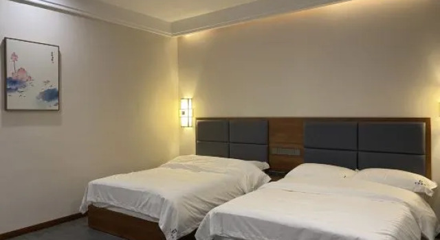 Люкс Chongqing Wenting Biyuan Inn