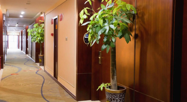 Dongting Hotel, Rezerwuj Hotel Wuhu Anhui