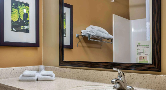 Четырёхместный люкс Extended Stay America Select Suites - New Orleans - Airport