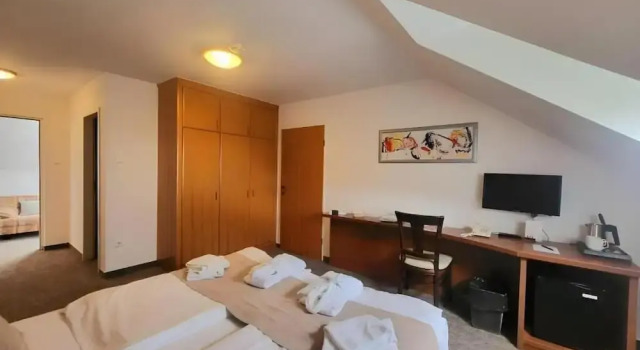 Номер Economy Zenit Wellness Hotel Balaton