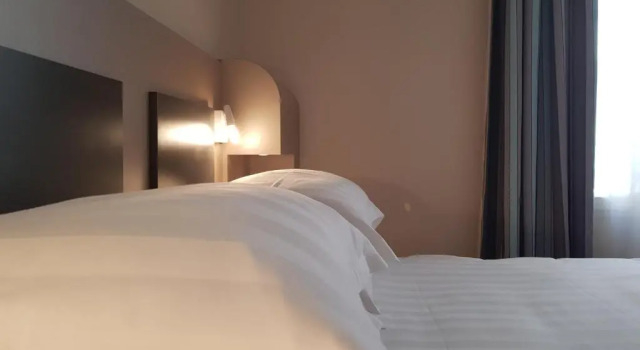 Полулюкс Brit Hotel de Grignan Vichy