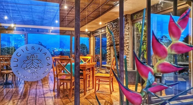 Luciernaga Salento Food Drinks and Music - Hostel, Book Hostel Hostels in Coffee Triangle, Hostel