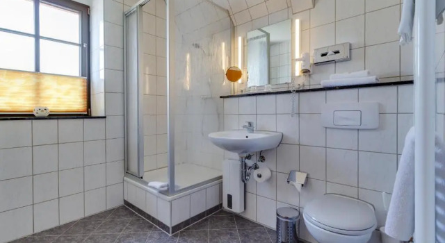 Одноместный номер Business Gasthaus Zum Schwan