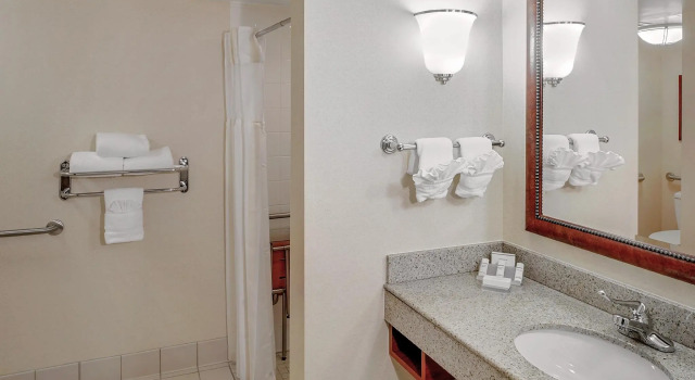 Двухместный люкс Hilton Garden Inn Chicago OHare Airport
