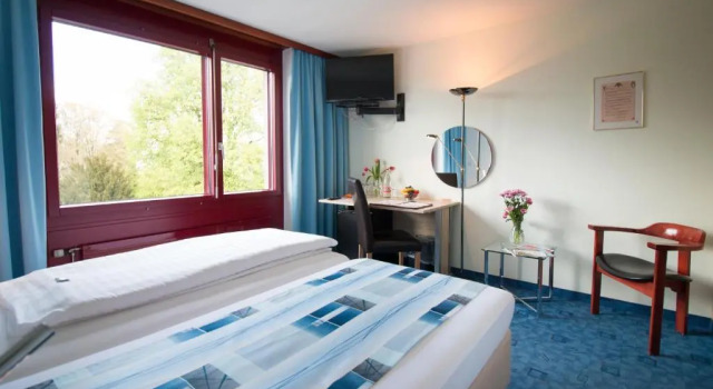 Одноместный номер Standard Park - Hotel Inseli