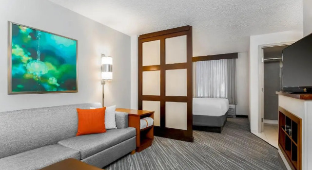 Номер (с диваном) Hyatt Place Lake Mary/Orlando North