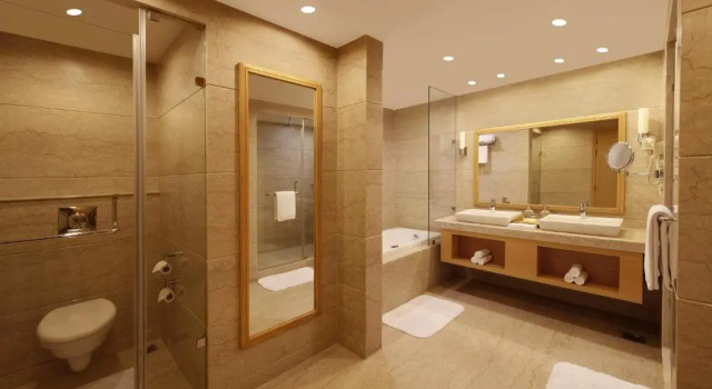 Люкс Executive Lemon Tree Hotel, Gachibowli, Hyderabad