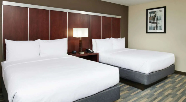 Четырёхместный номер Standard Doubletree By Hilton Raleigh Crabtree Valley