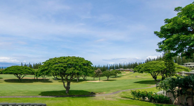 Вилла c 1 комнатой Kapalua Villas Maui