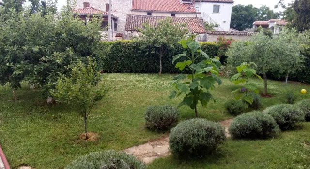 Апартаменты с 2 комнатами Apartments Katarina