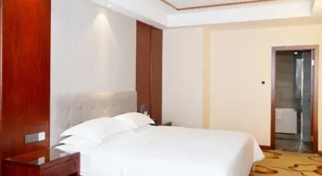 Люкс Deluxe Elong R.YUN Hotel (Handan Daming City Bus Station)