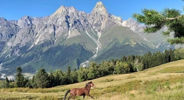 Guest house-Lile, Prenota Affittacamere Mestia Samegrelo Zemo-Svaneti