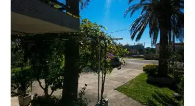 Apartments 4 Palme