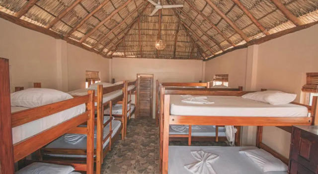 Кровать в общем номере The Barrel Hostel