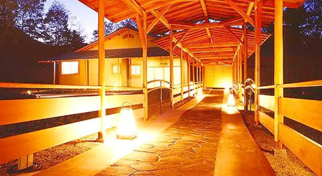 Люкс Sendai Akiu Onsen Hotel Kiyomizu