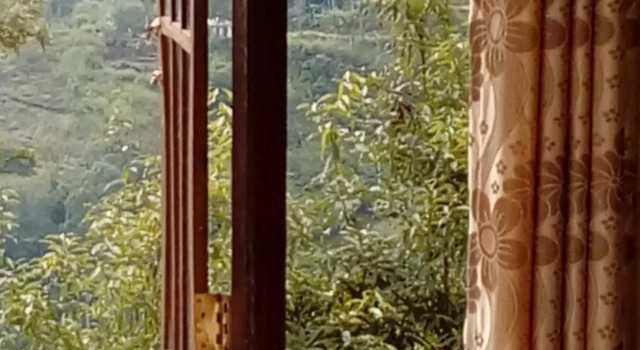 Daban Homestay Ella, Забронировать Отель Элла Шри-Ланка, рядом с Ella Spice Garden